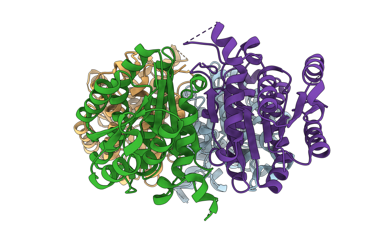 3I4F image