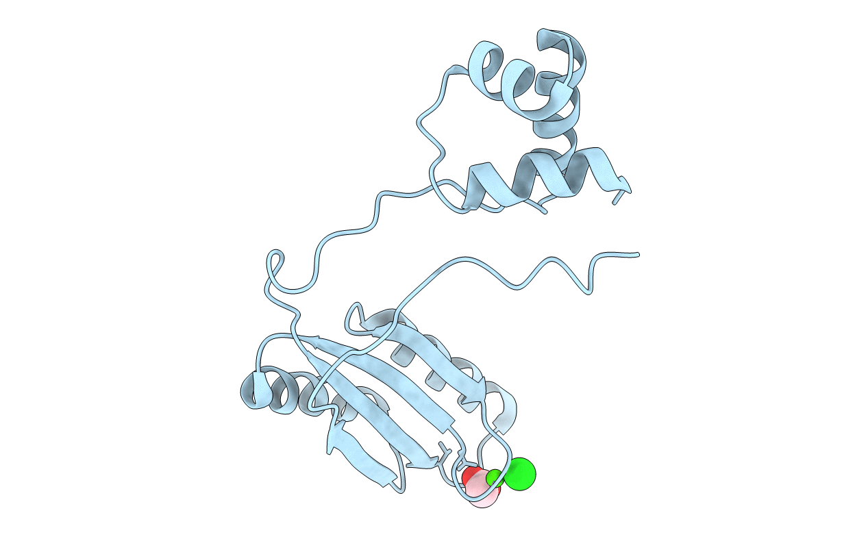 3I4P image