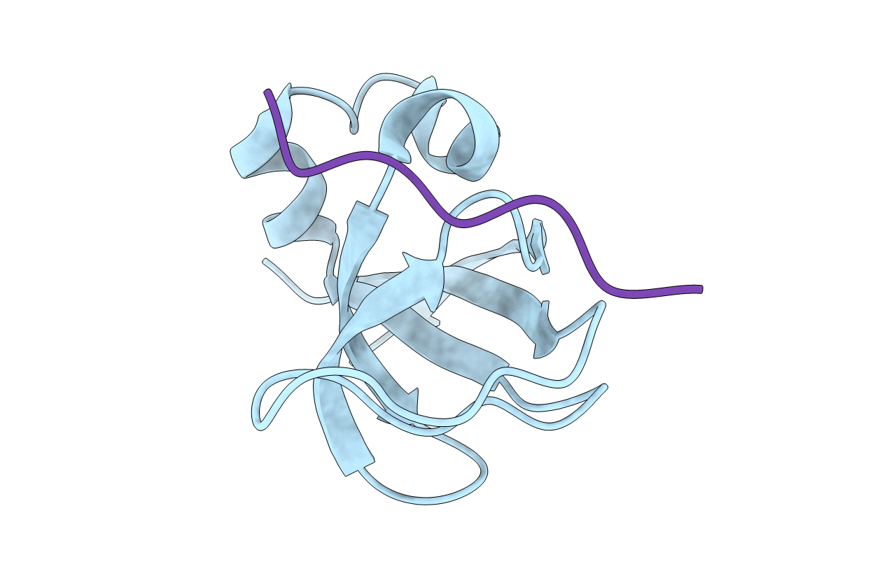 3I5R image