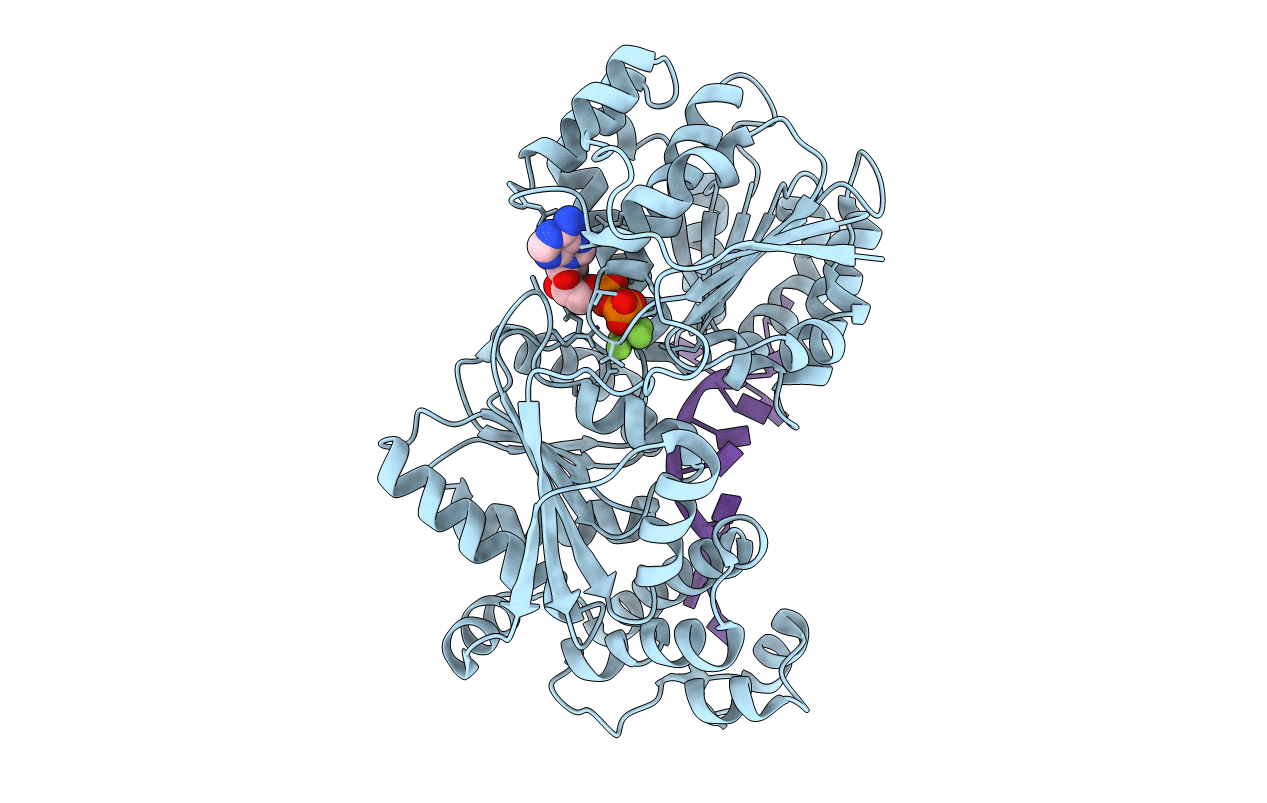 3I62 image