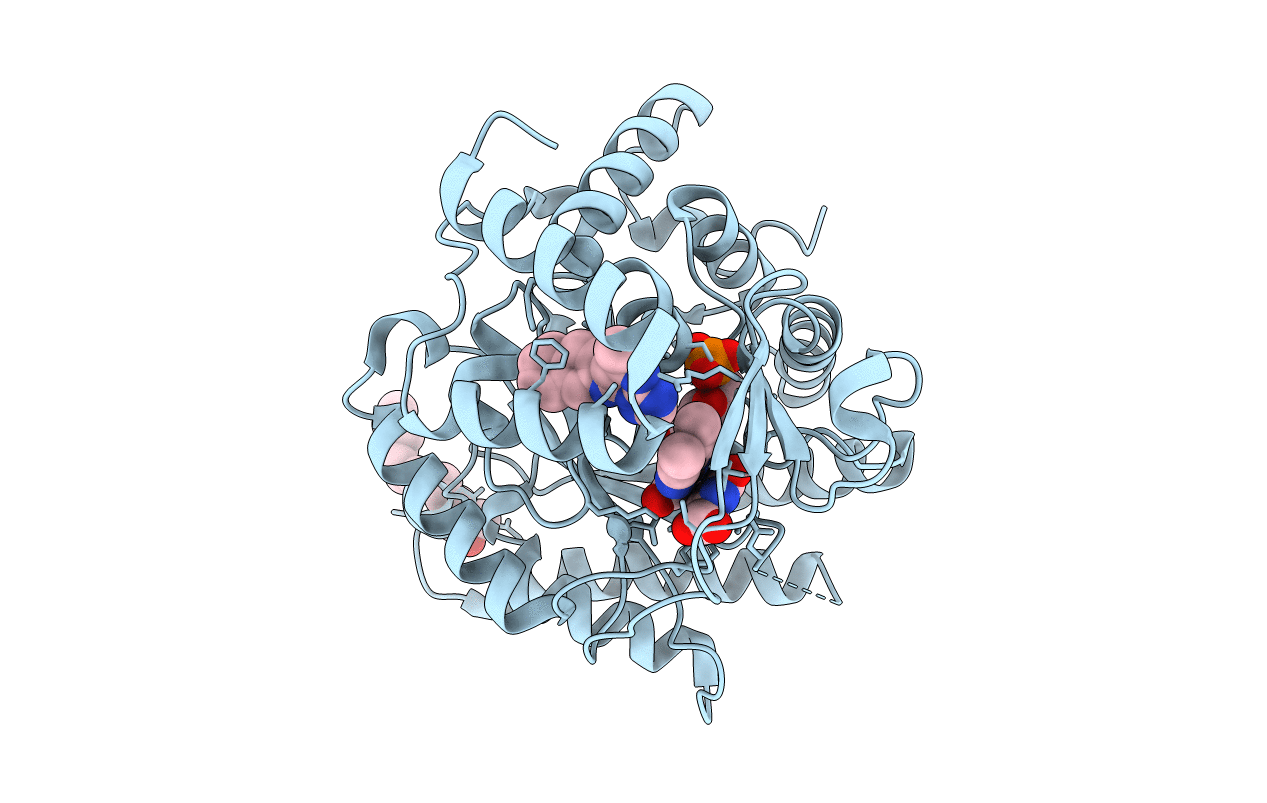 3I65 image