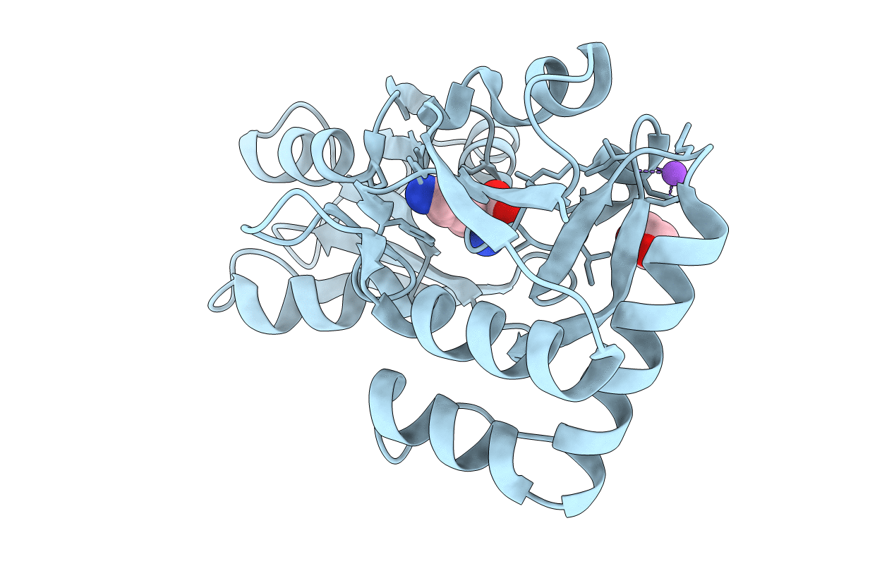 3I6V image