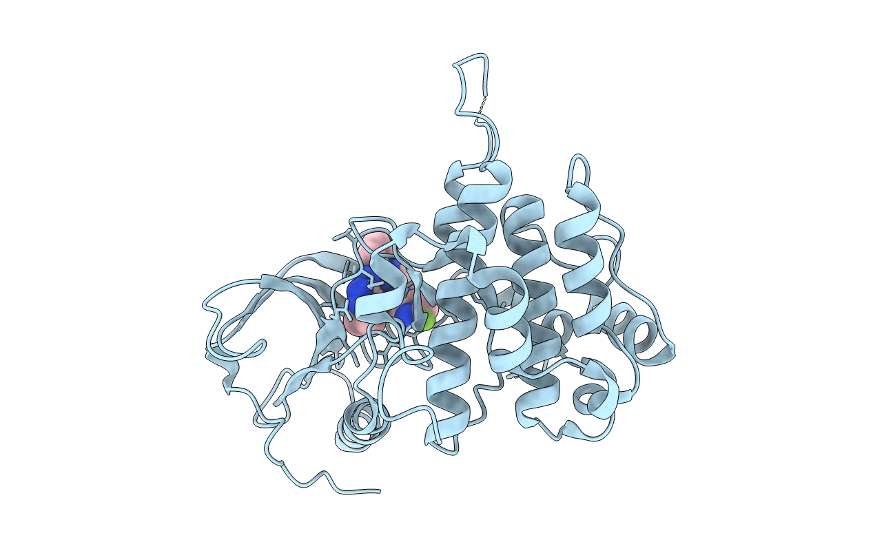 3I81 image
