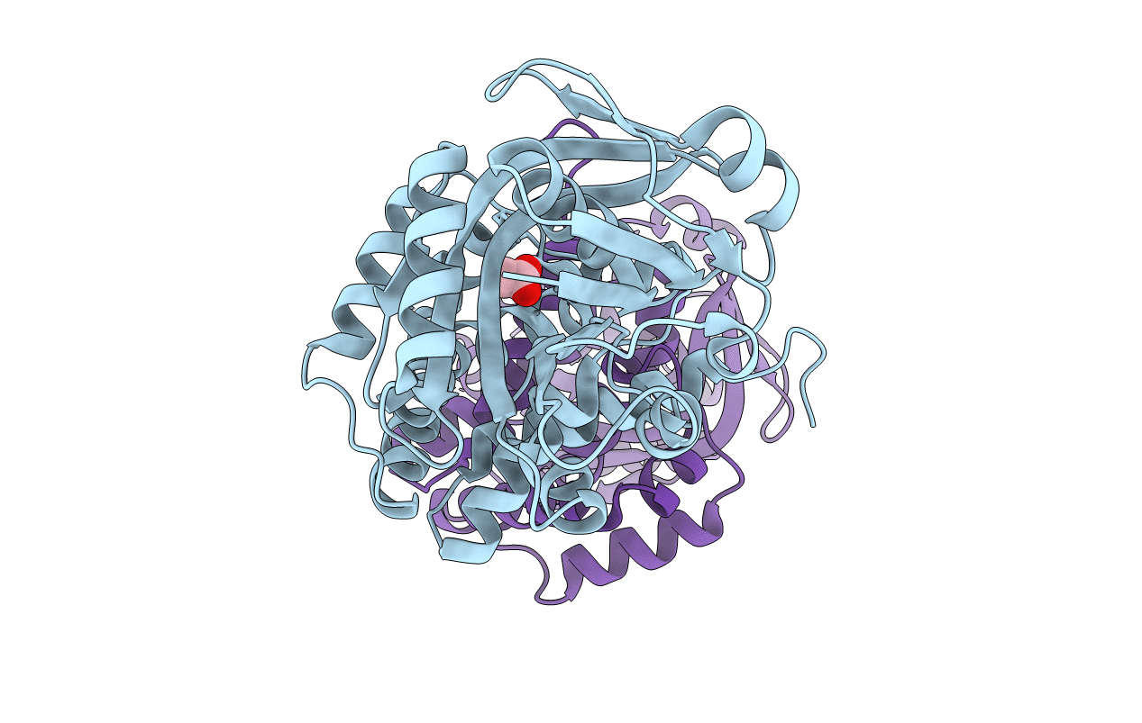 3I83 image