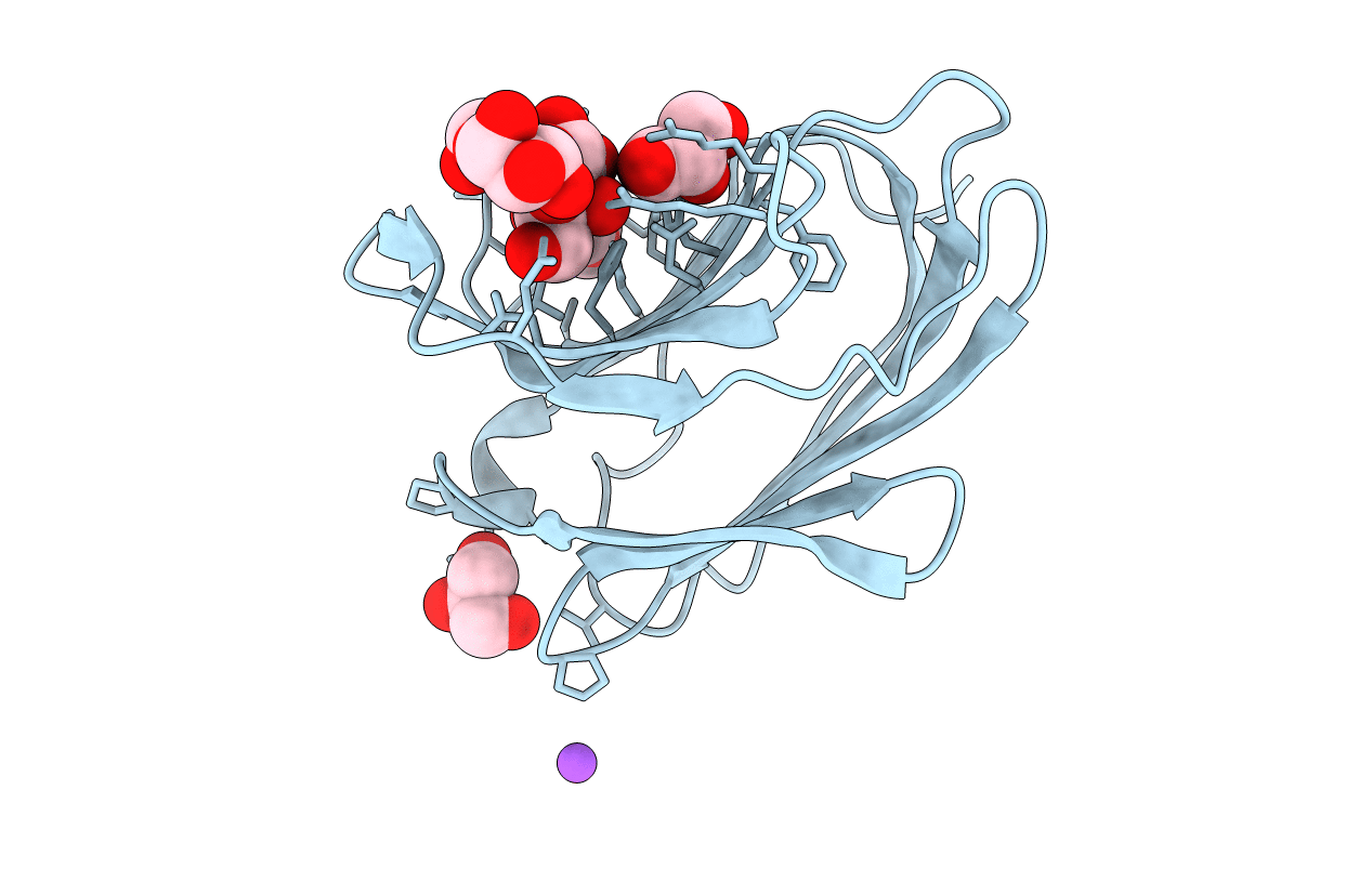 3I8T image