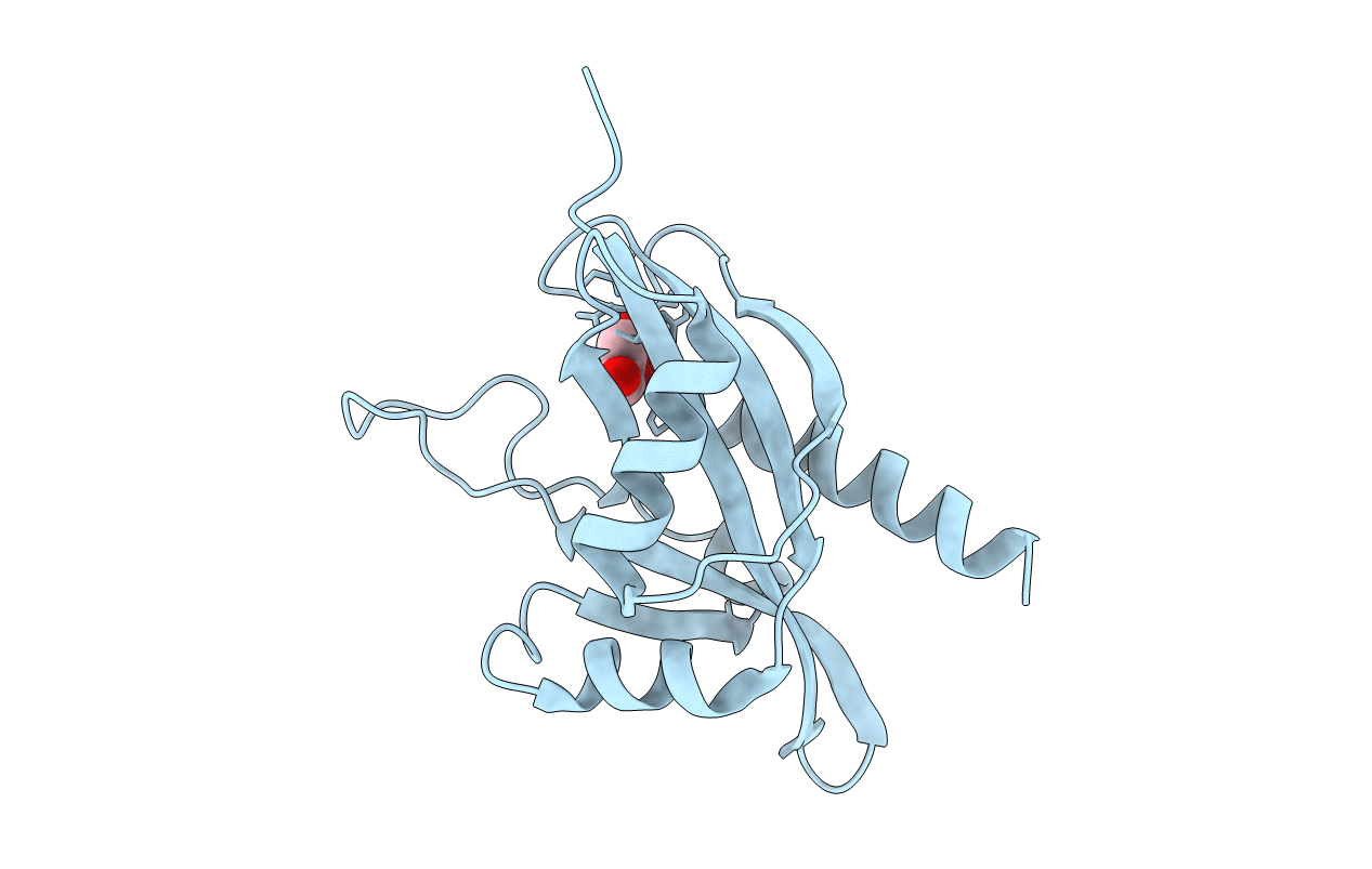 3I9X image