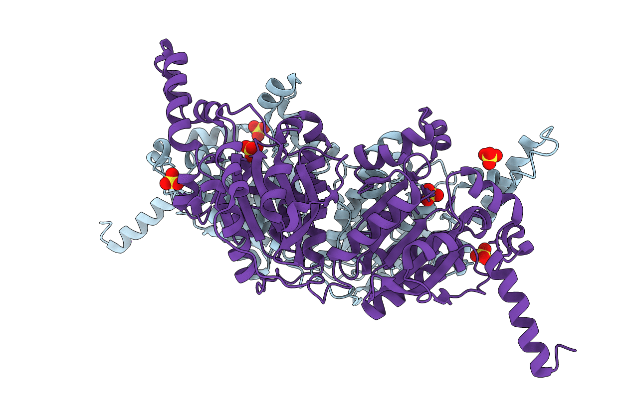 3IAV image