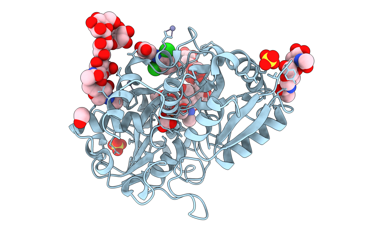 3IB0 image