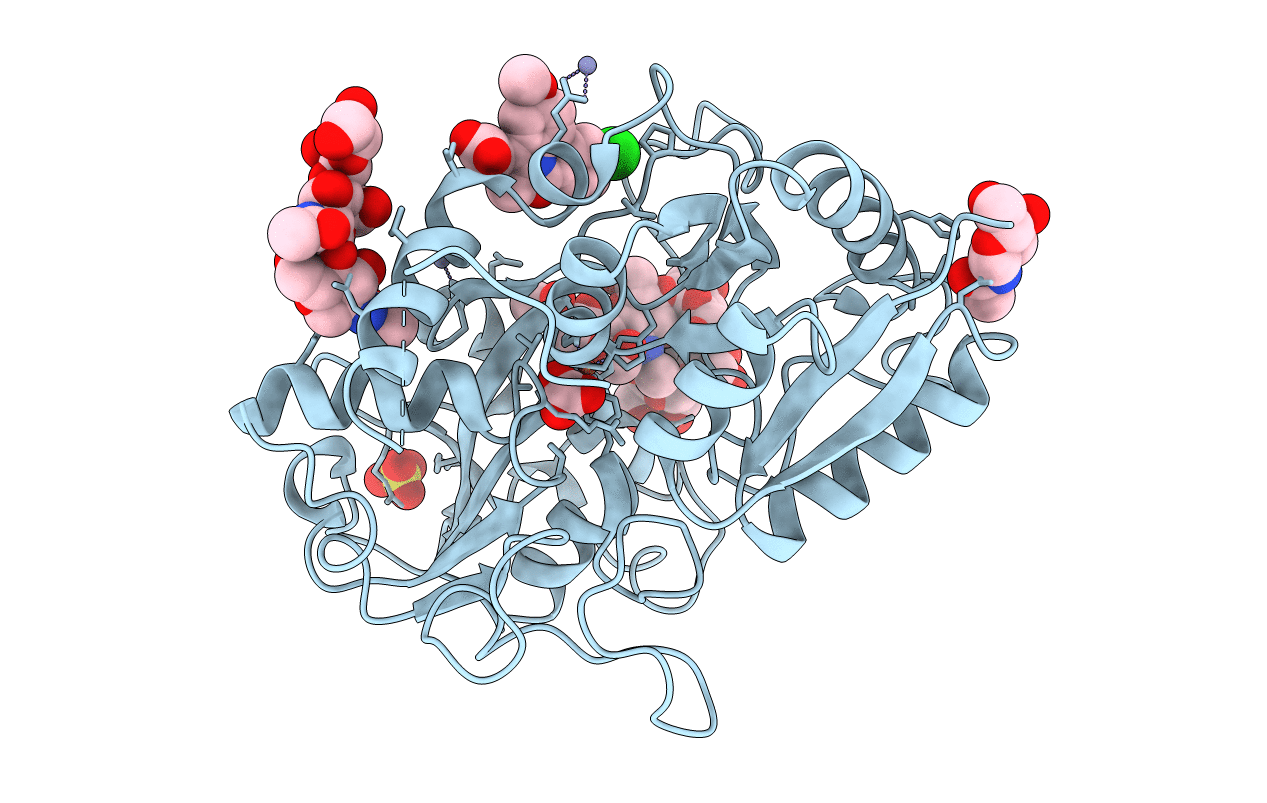 3IB1 image