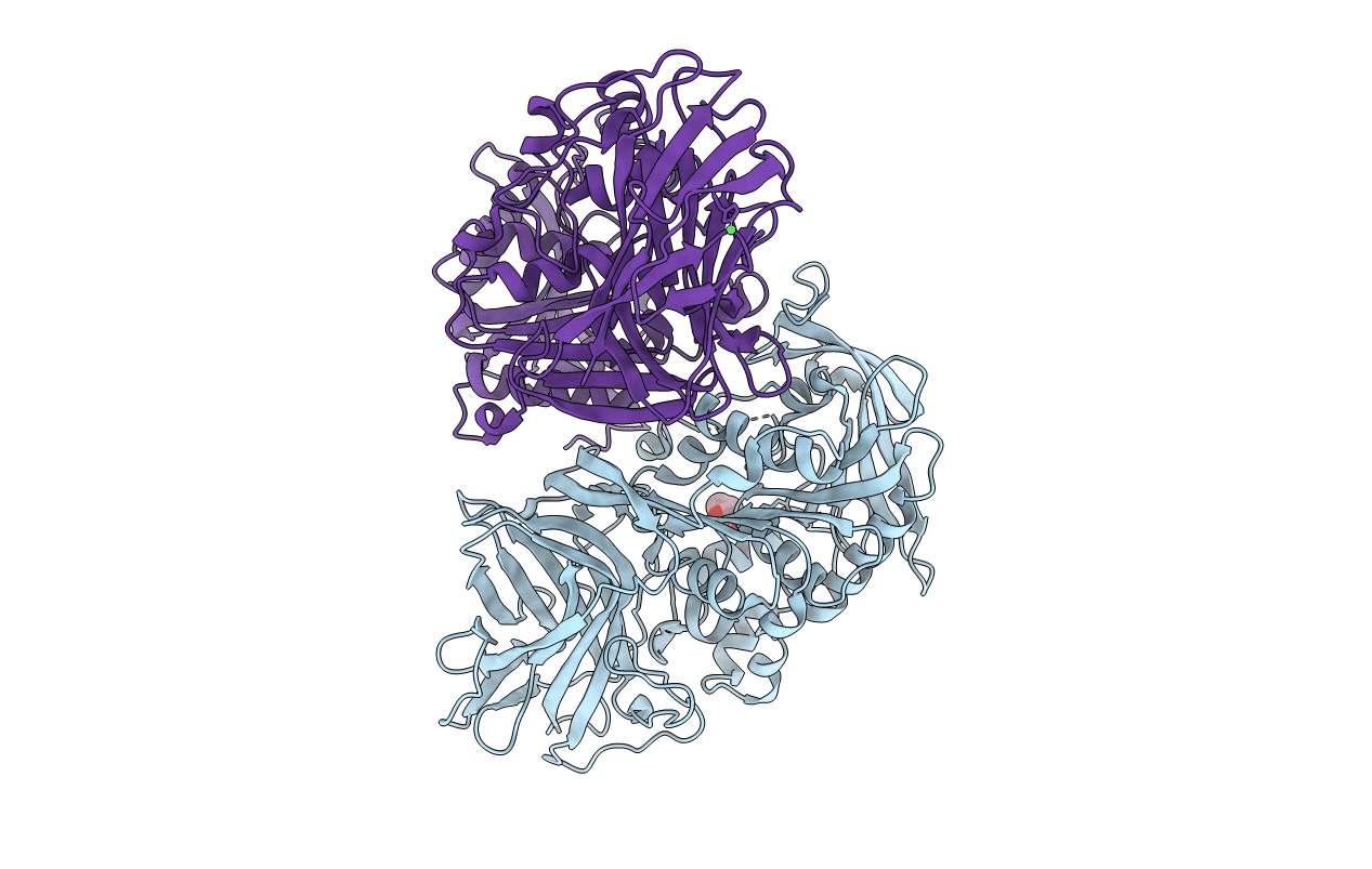 3IB3 image