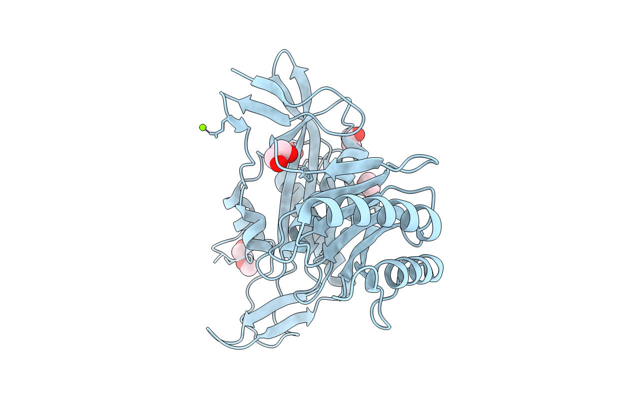 3IB5 image