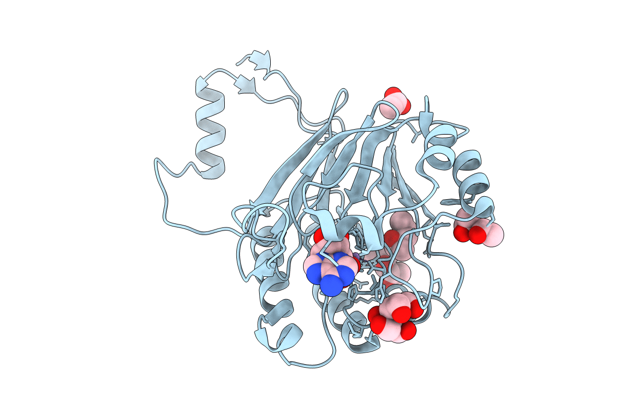 3IB8 image