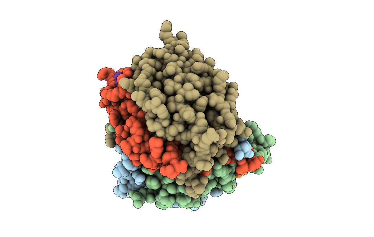 3IBC image