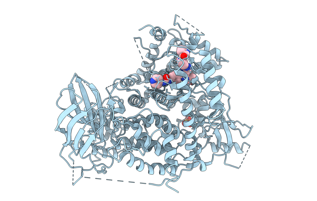 3IBE image