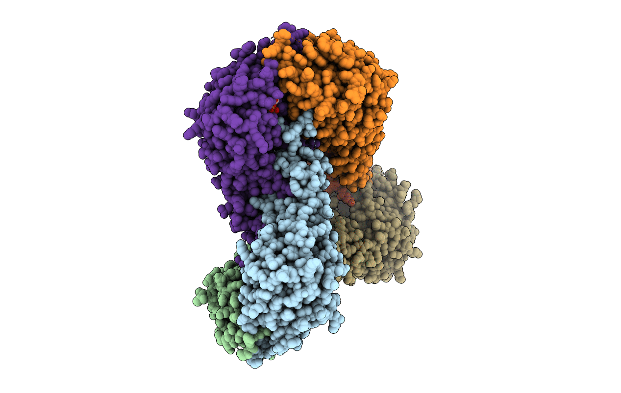 3IBG image