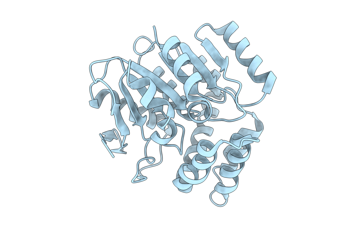 3IBT image