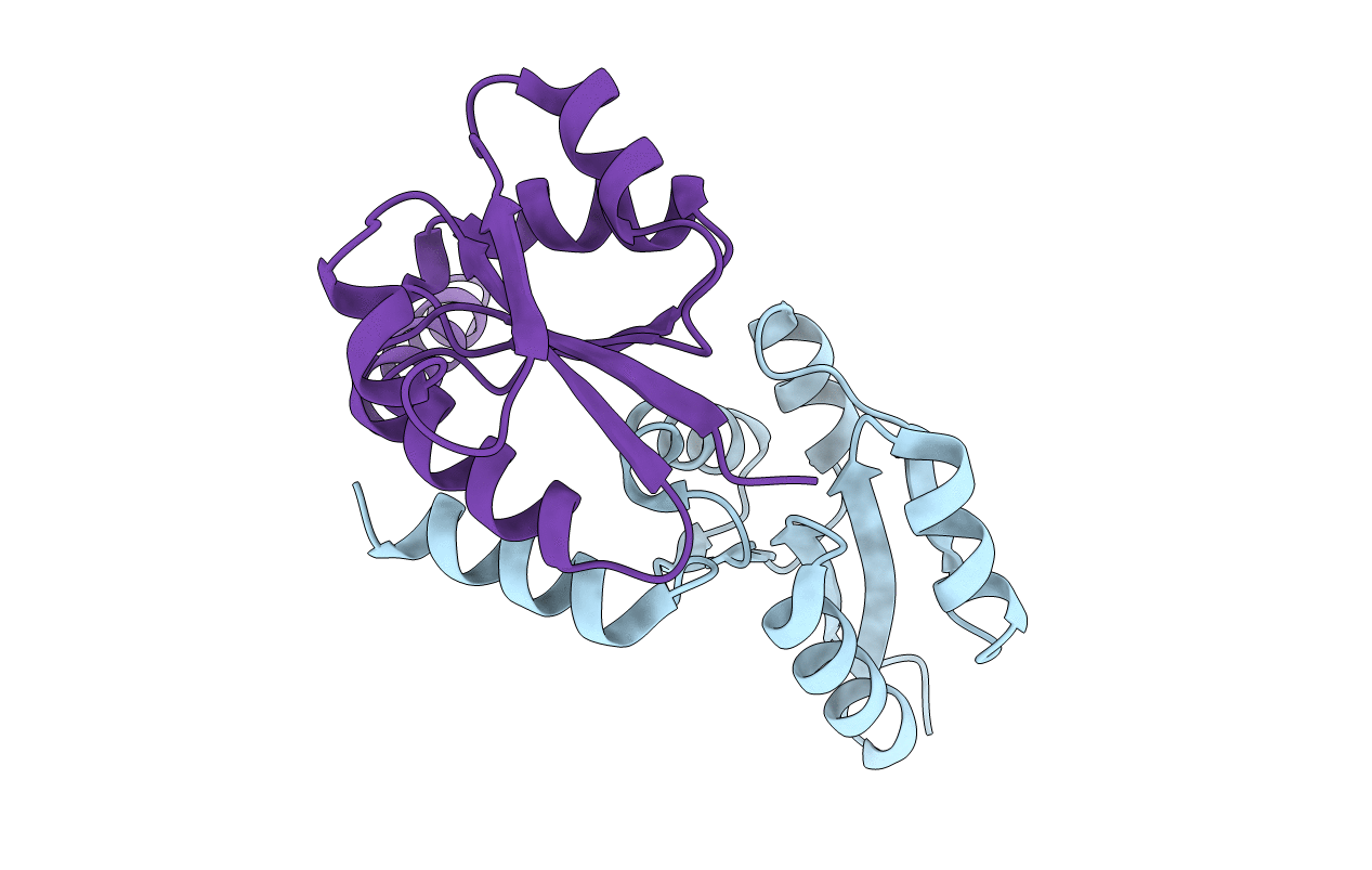 3IC5 image
