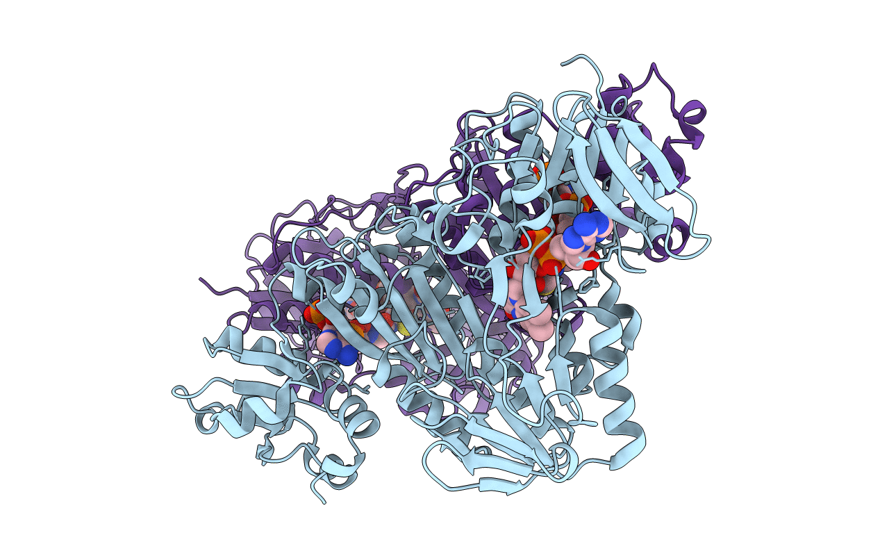 3ICR image