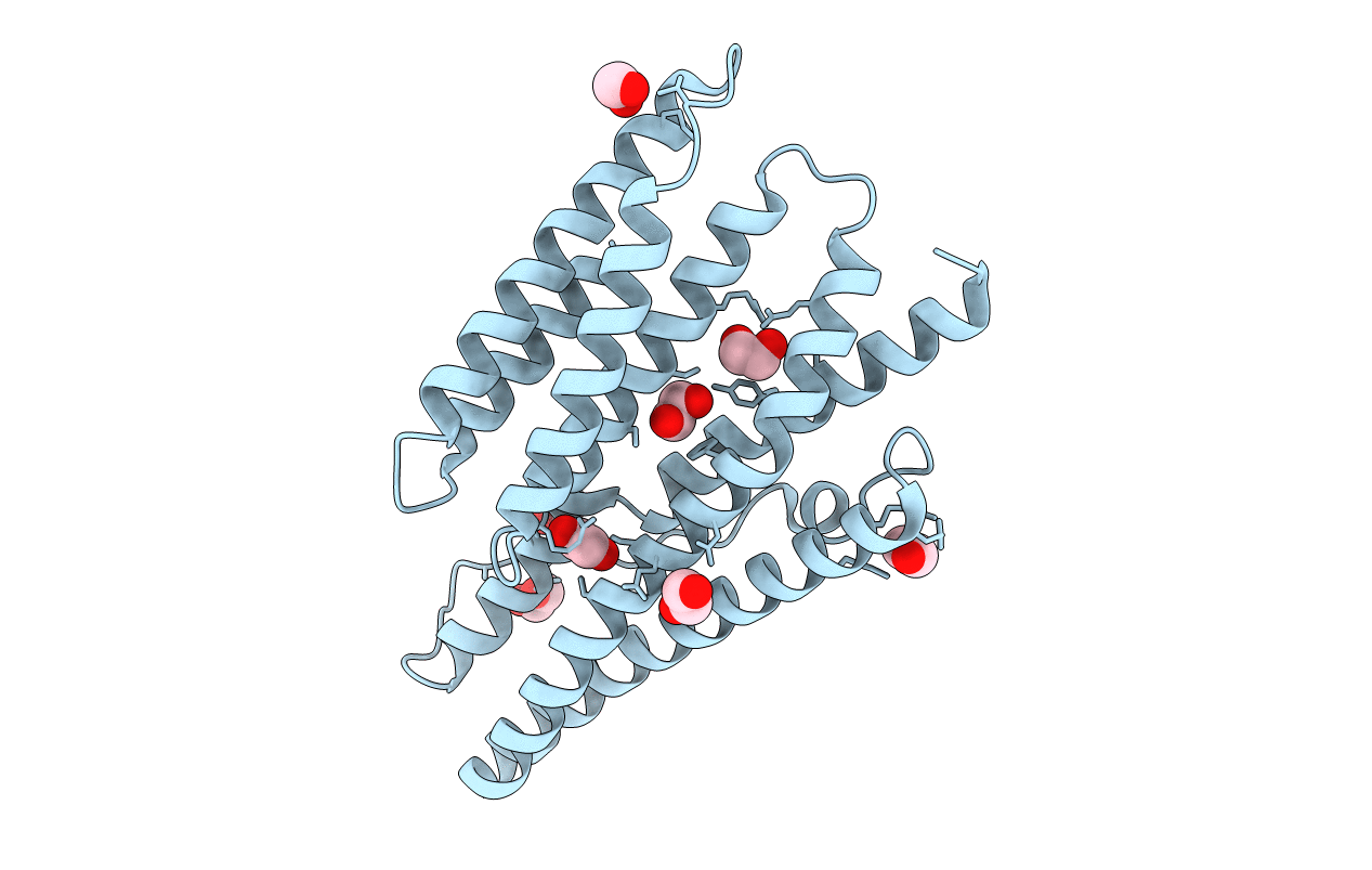 3IEE image