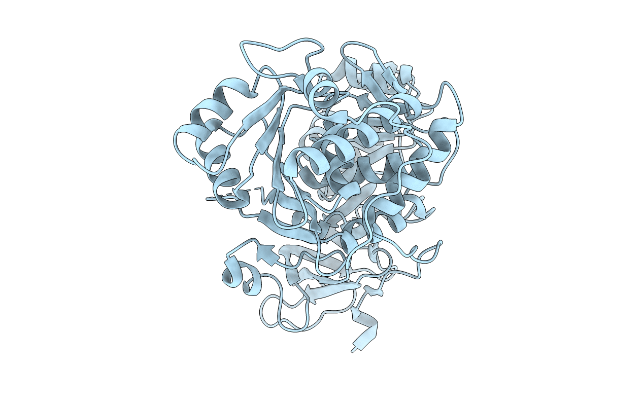 3IEP image