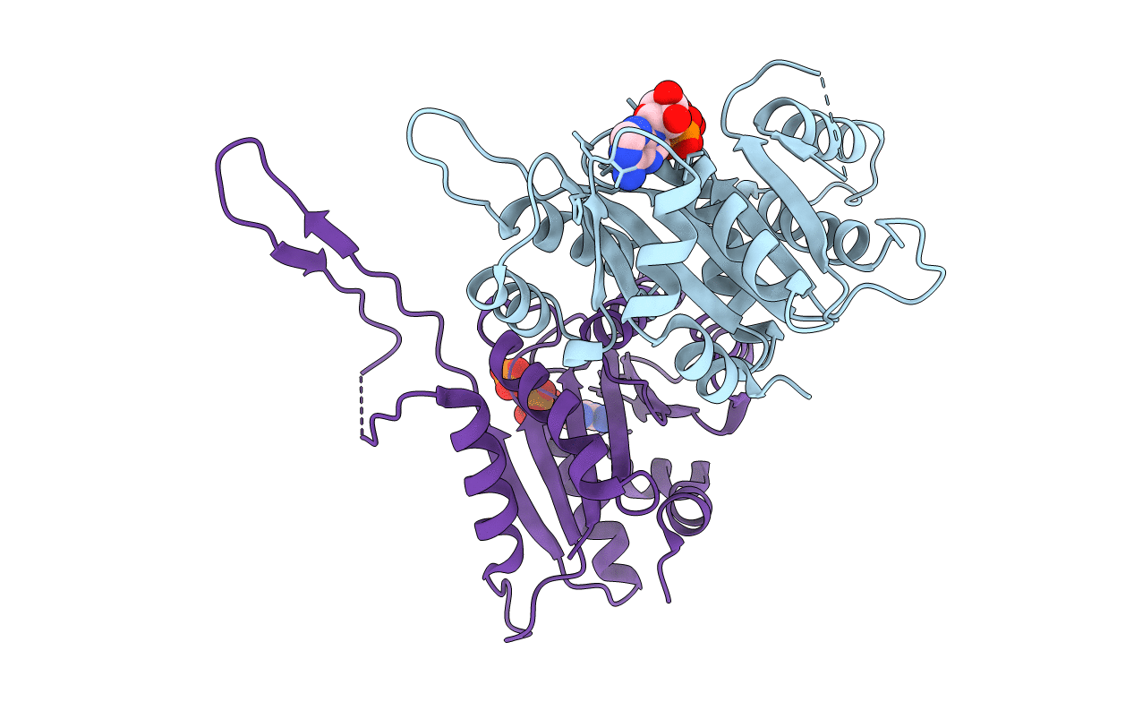3IHL image