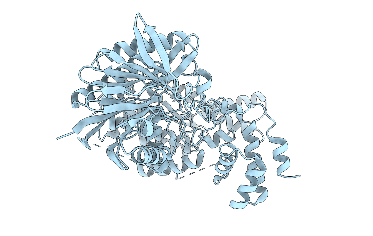 3ILV image