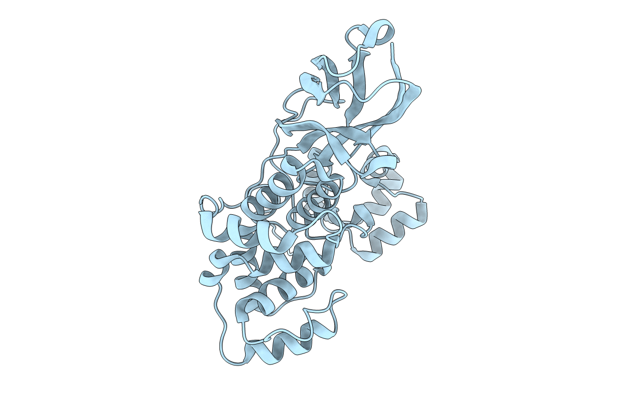 3IM1 image