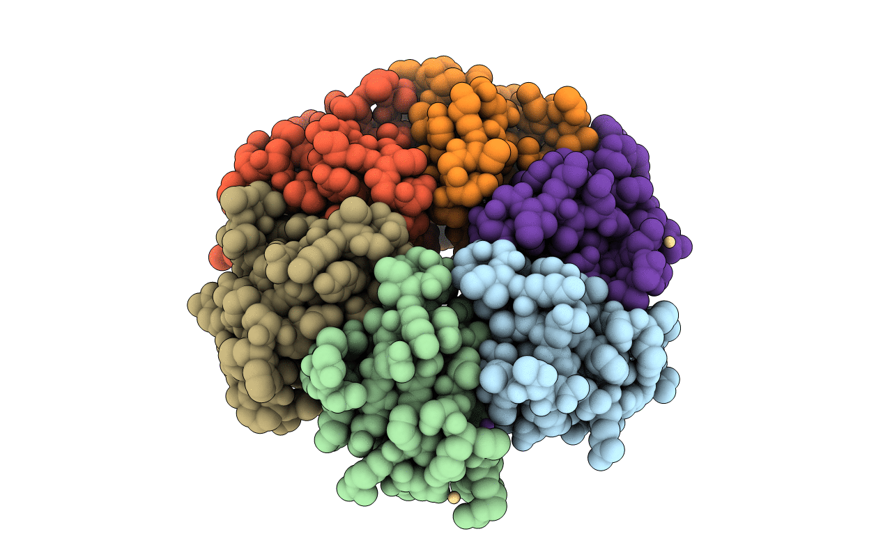 3INZ image