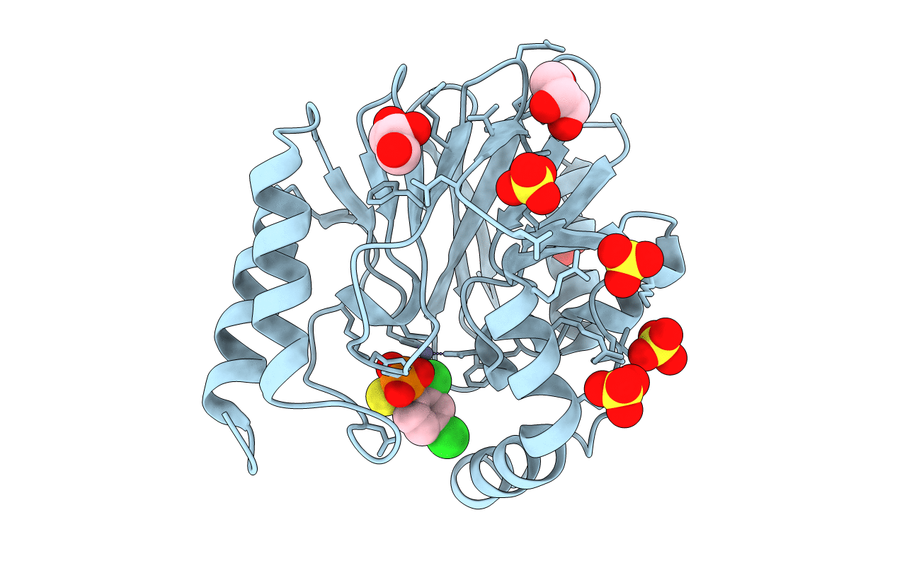 3IOG image
