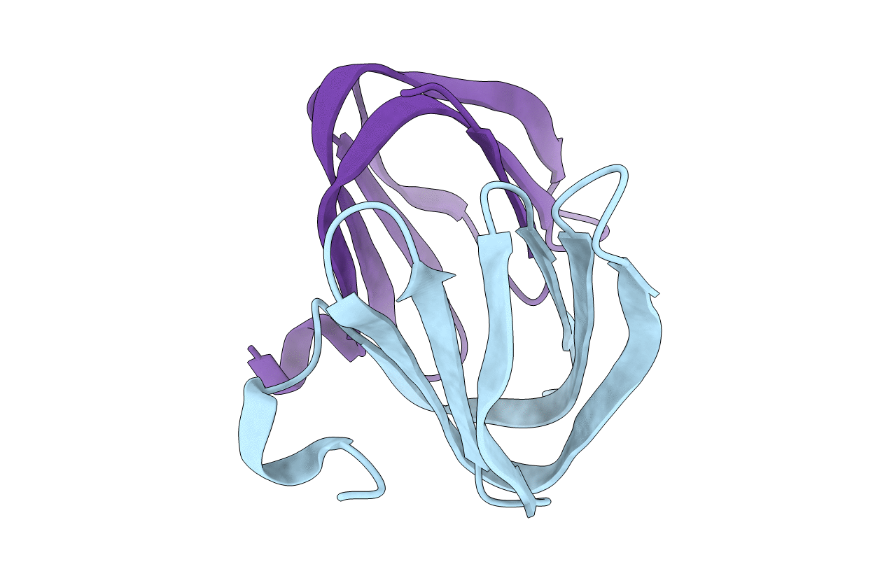 3IPF image