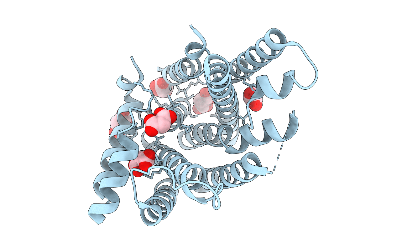 3IPI image