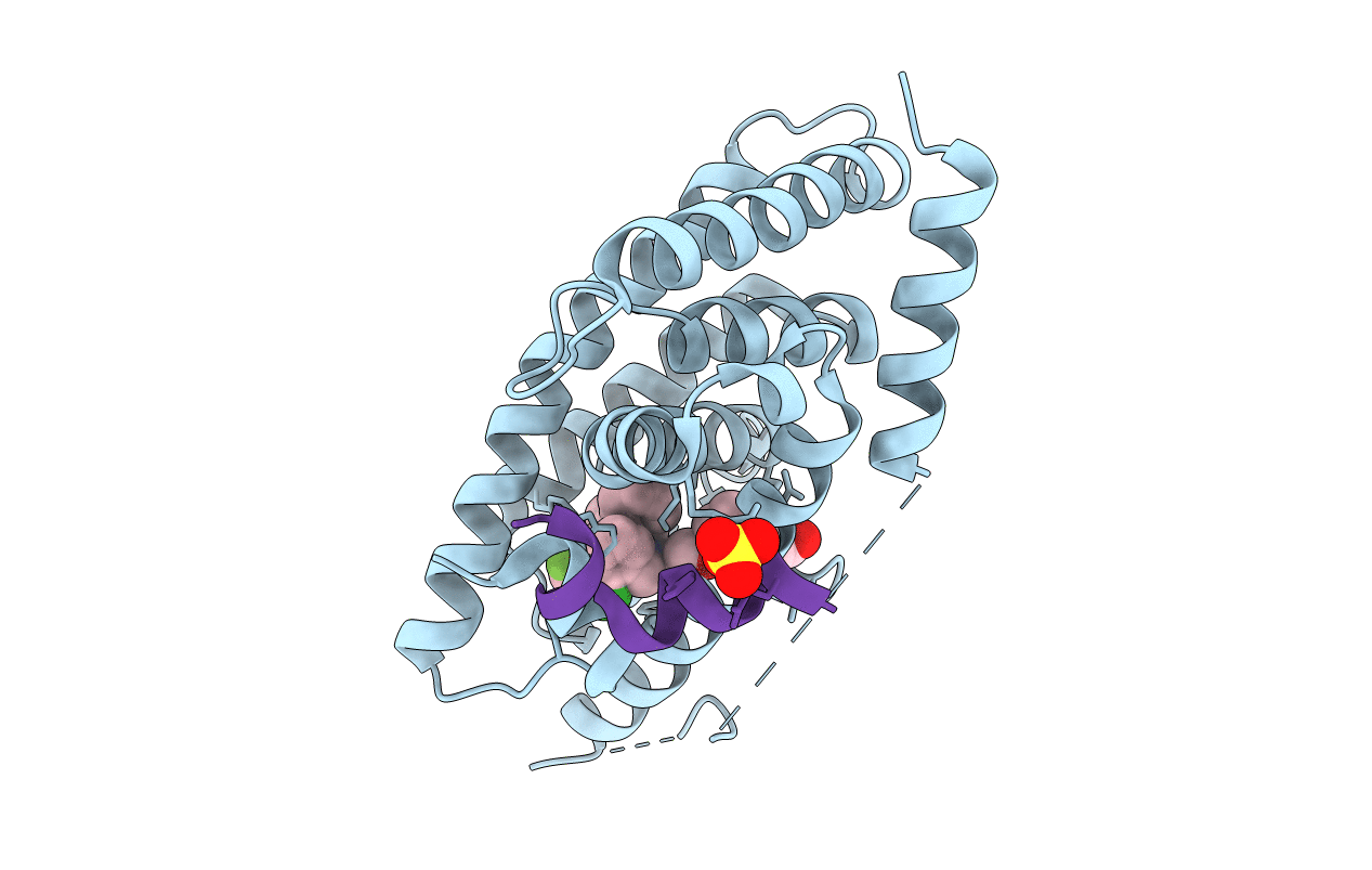 3IPQ image