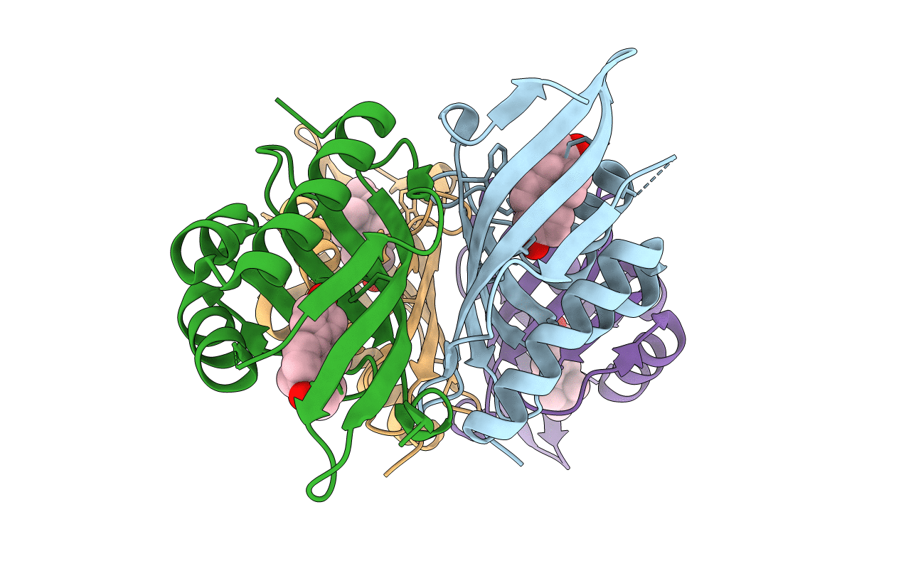 3IPT image