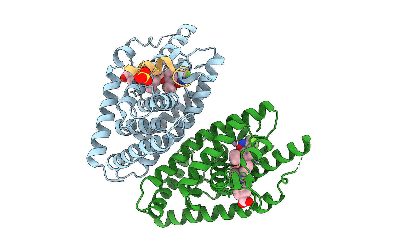3IPU image