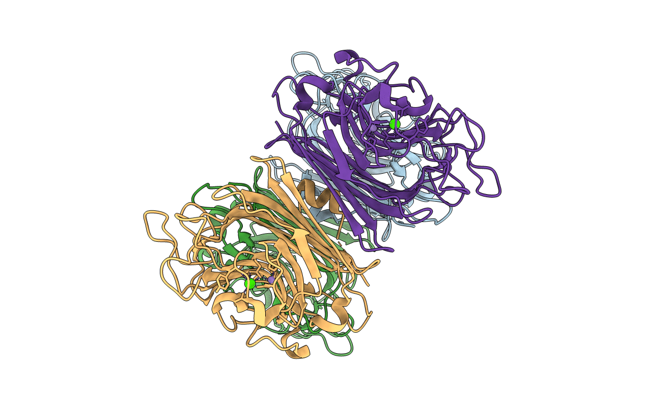 3IPV image