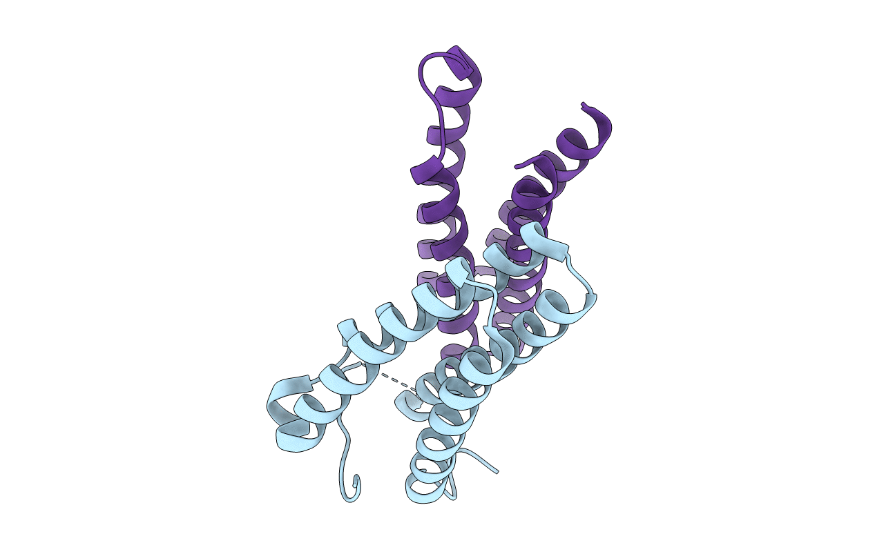 3IQC image