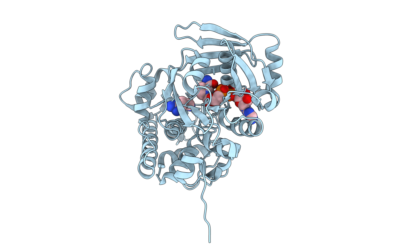 3IQD image