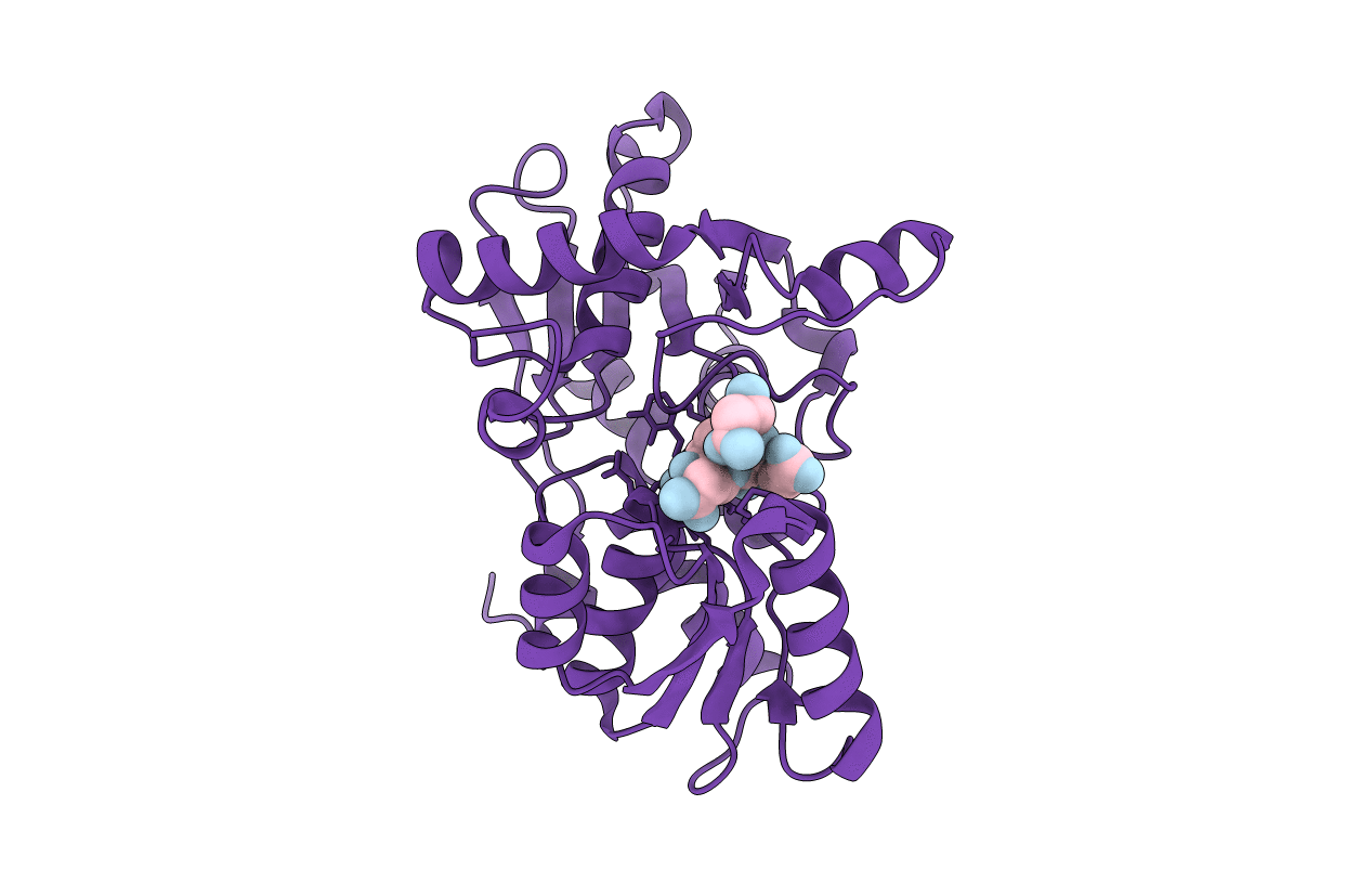3IQI image