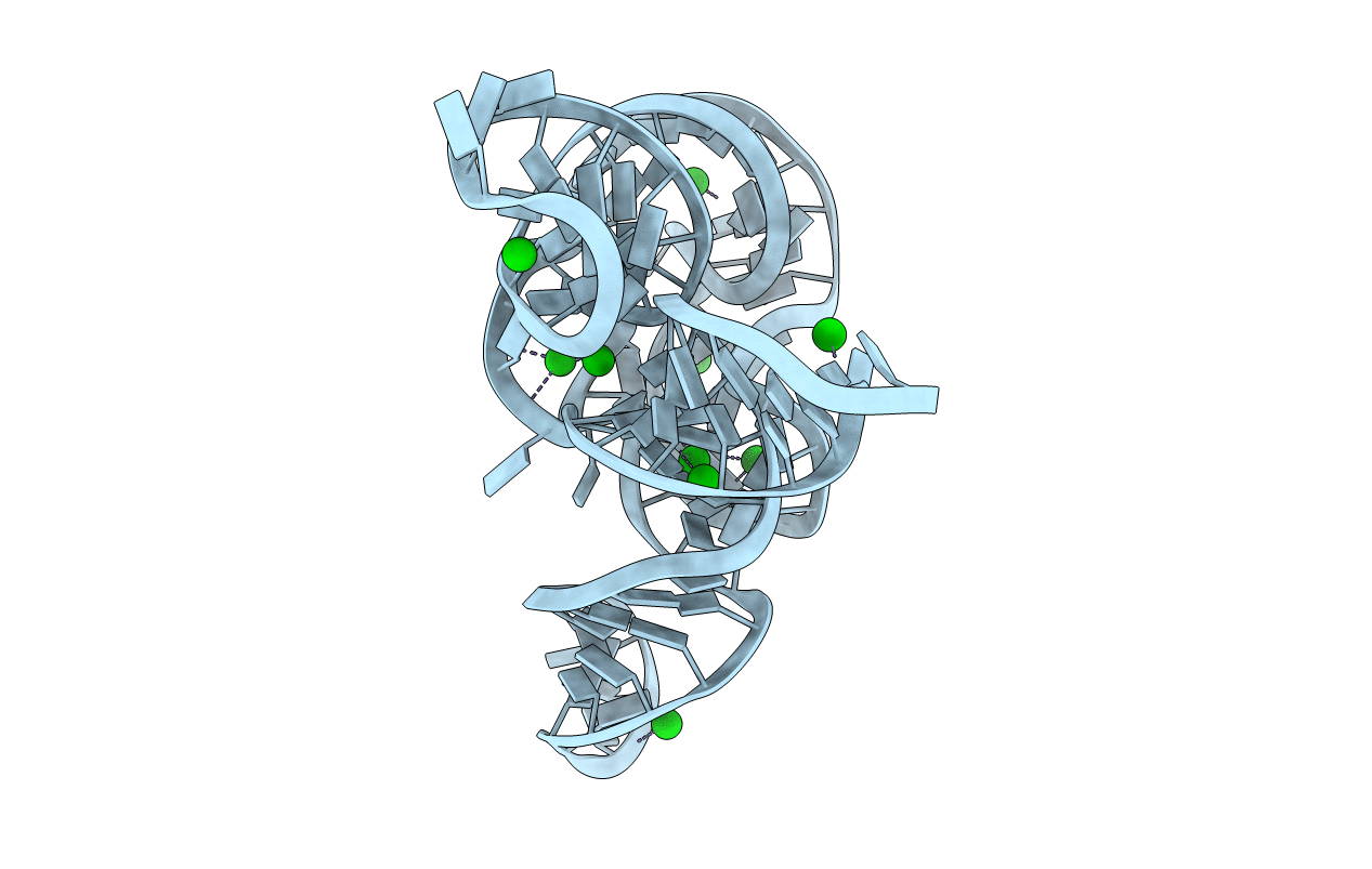 3IQP image