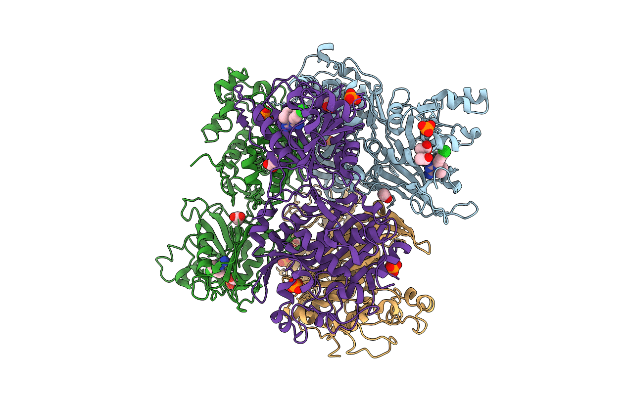 3IRM image
