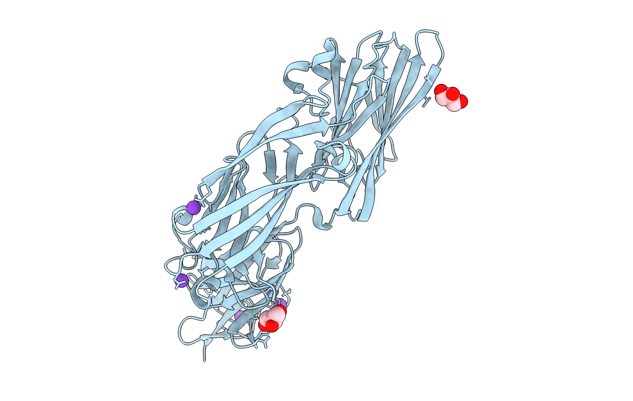 3IRP image