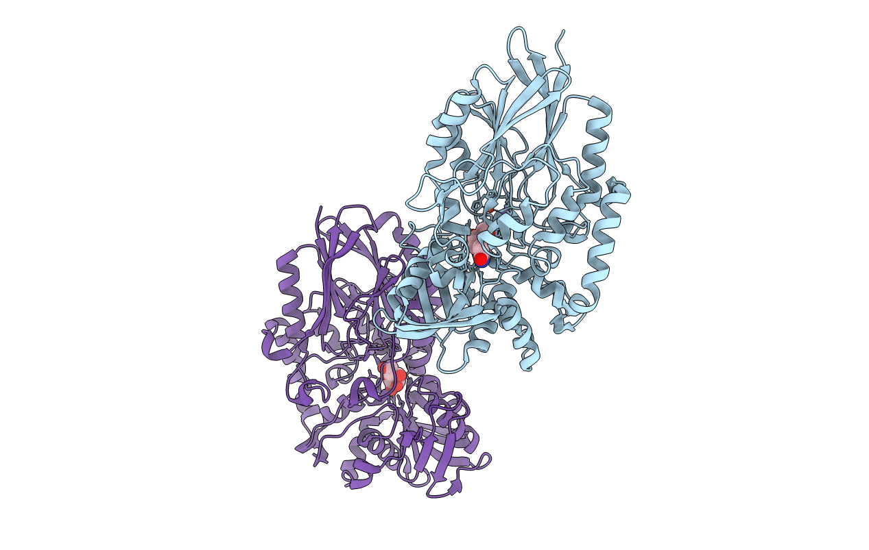 3IVD image