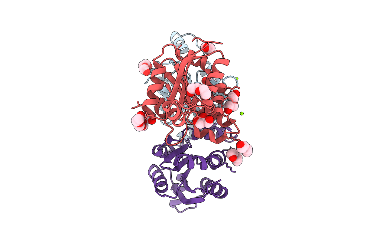 3IWT image