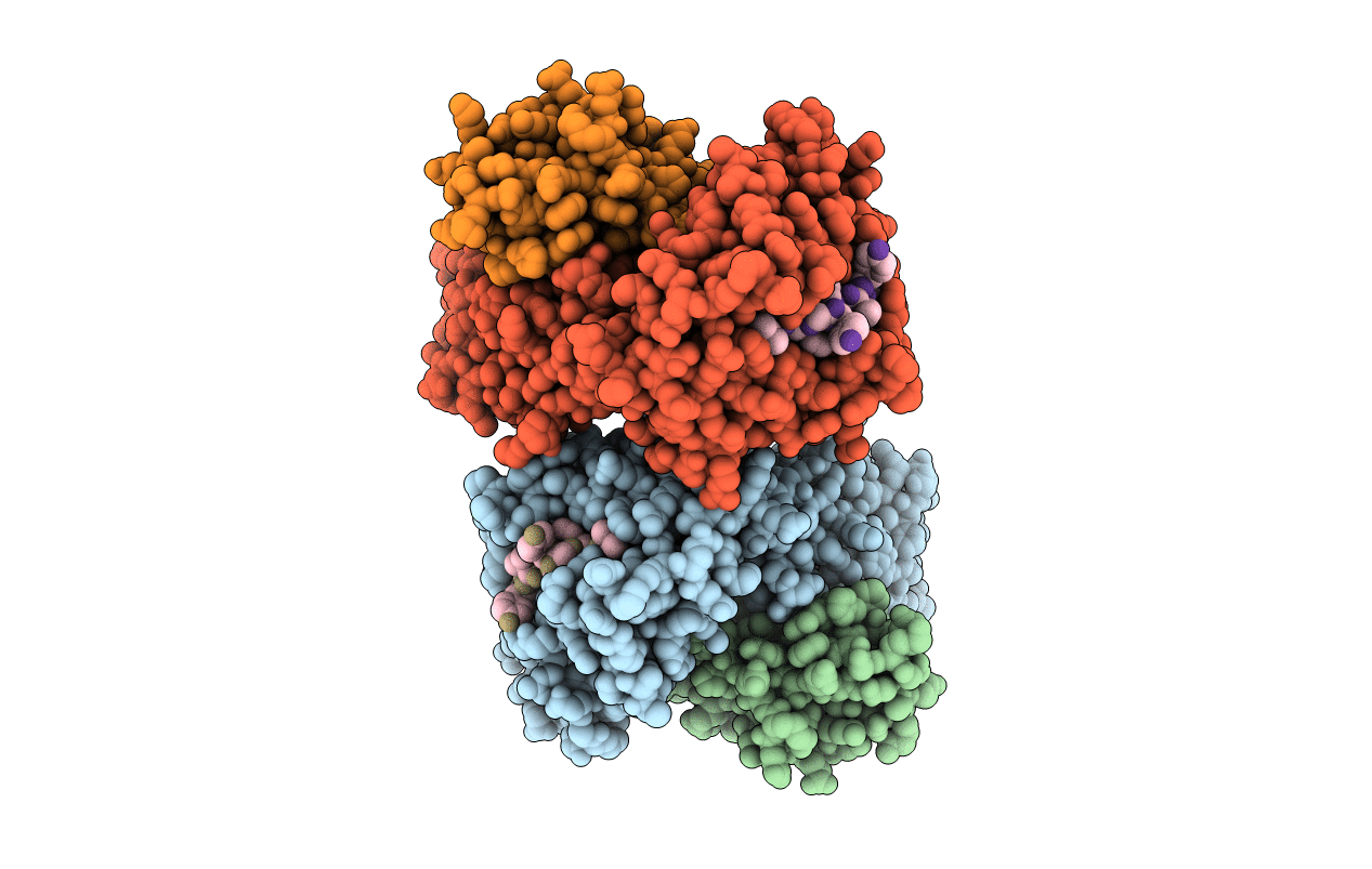 3IXA image