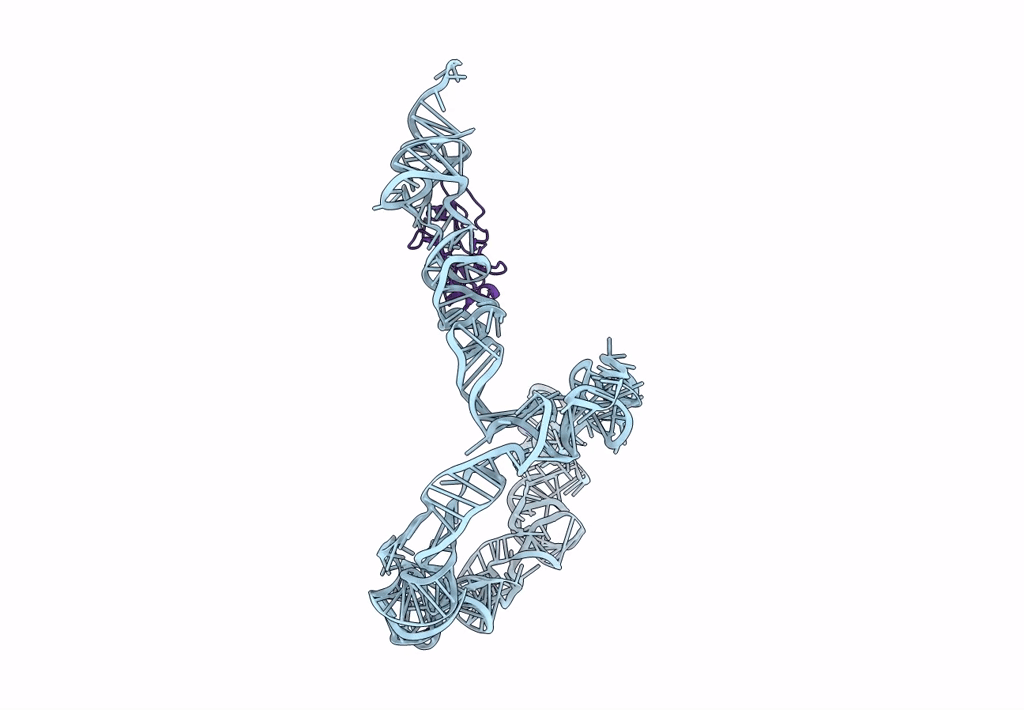 3IYQ image