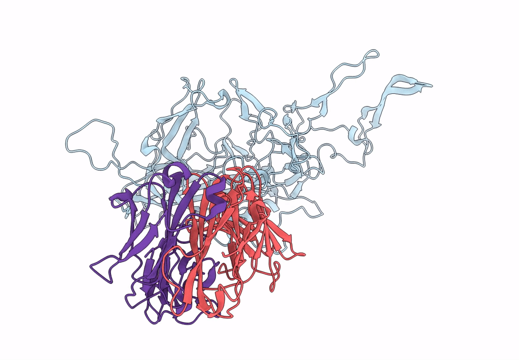 3J1S image