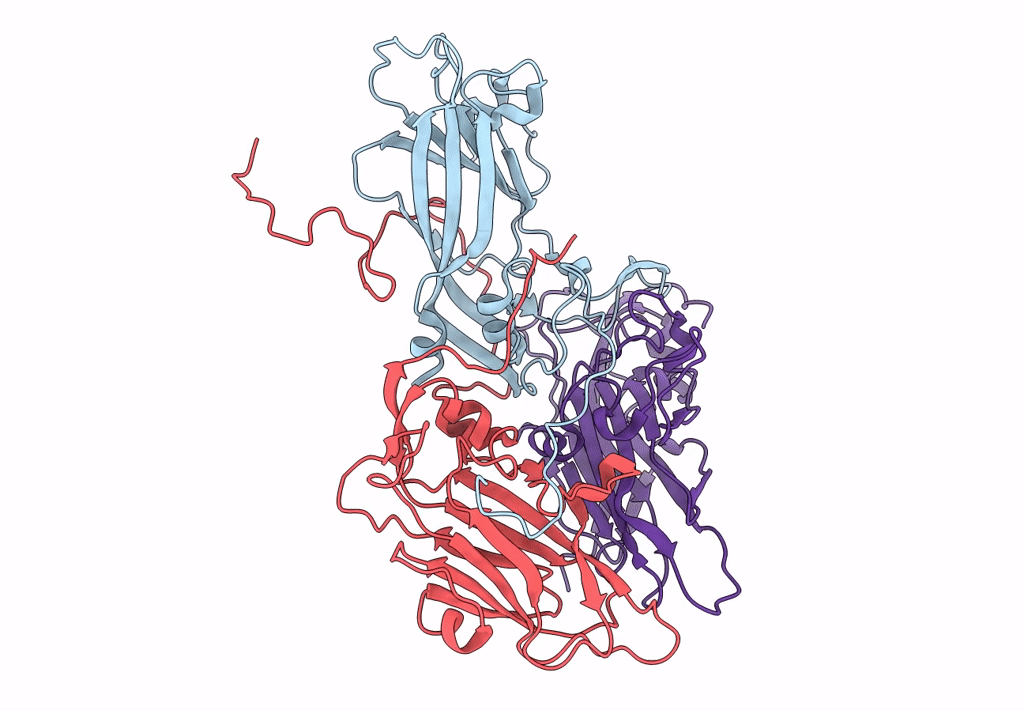 3J2J image