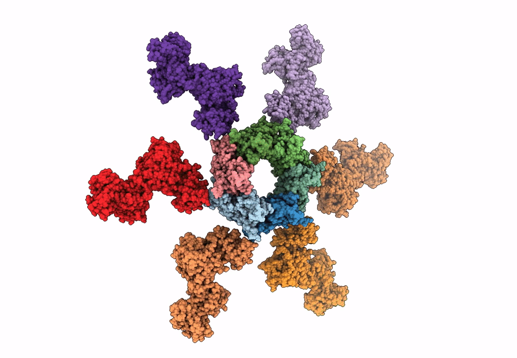 3J2N image