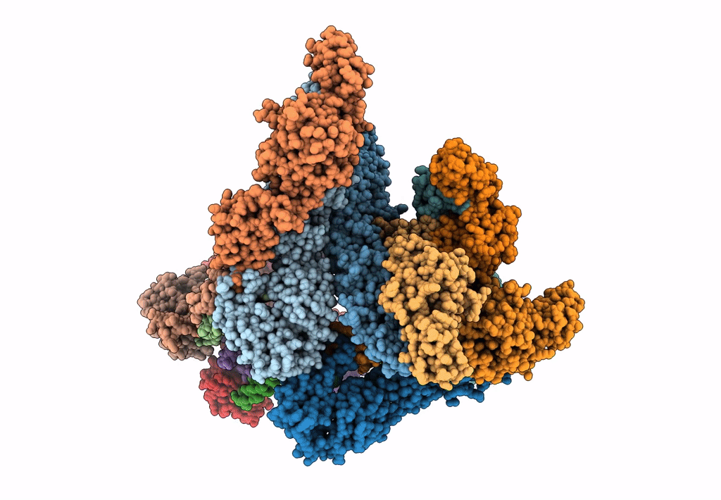 3J2W image