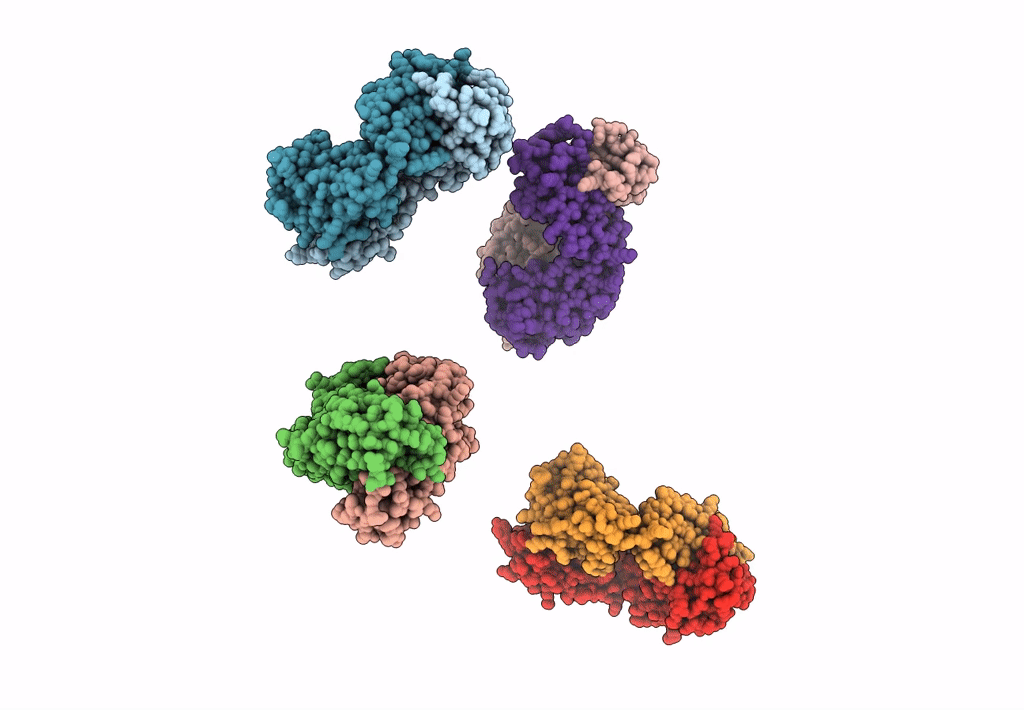 3J2X image